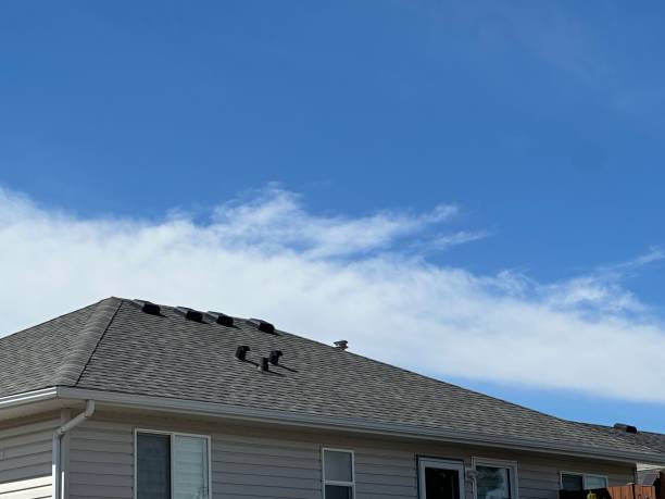Trusted Halsey, OR Roofing Service Experts